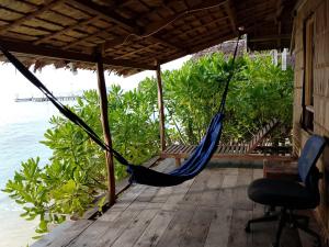 hamak na pokładzie obok wody w obiekcie Black Coral Raja Ampat Homestay w mieście Poelau Mansoear