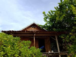 mały drewniany dom z drzewami przed nim w obiekcie Black Coral Raja Ampat Homestay w mieście Poelau Mansoear +6 zdjęć