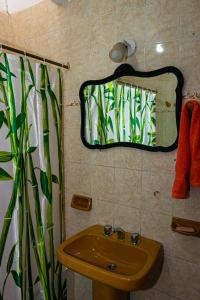 Fotografie z fotogalerie ubytování Hostel Hornocal v destinaci San Salvador de Jujuy