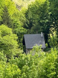a small house in the middle of a forest at Forest Magic in Duga Resa