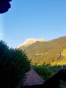 格里翁Beau séjour 101 - Charming studio flat in Gryon的相册照片