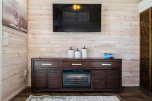 a living room with a television on a wooden wall at Cozy 1BR Tiny Home with Pool Access and Free Tix in Flat Rock +13 photos
