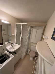 a white bathroom with a sink and a toilet at Les Fermettes in Saint-Jean-de-Monts