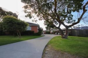 a tree on the side of a driveway at Cozy & Spacious Family Unit Mt Martha in Mount Martha
