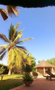eine Palme, ein Tisch und ein Regenschirm in der Unterkunft Kalahari Estate, Prestige & Quiet in Sali Poulang