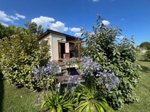 a small house with purple flowers in front of it at Los colibries in Mar de Cobo +22 photos