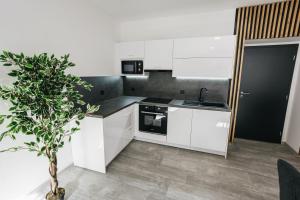 Dapur atau dapur kecil di Apartmány U Doskočilů