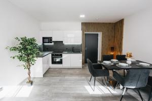 Dapur atau dapur kecil di Apartmány U Doskočilů