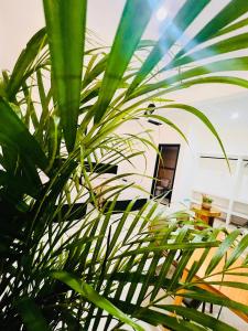 Κήπος έξω από το Apartment with blacony and sea view