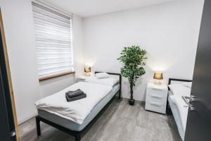 Katil atau katil-katil dalam bilik di Apartmány U Doskočilů