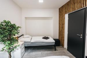 Katil atau katil-katil dalam bilik di Apartmány U Doskočilů