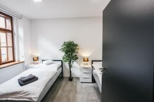Katil atau katil-katil dalam bilik di Apartmány U Doskočilů