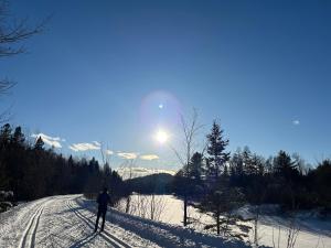Winter Lakefront Chalet - Serendipity Hideaway - Ski, Skate, Snowshoes & Relax by the Cozy Fire om vinteren