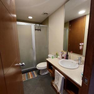een badkamer met een wastafel, een toilet en een douche bij Mayan Lake Horus in Acapulco