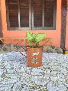 una planta en una olla sentada en una mesa en Chalé do Bosque Ilhabela, en Ilhabela 24 fotos más