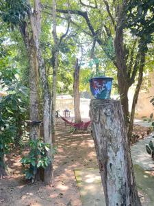 un jarrón sentado en la parte superior de un tronco de árbol en Chalé do Bosque Ilhabela, en Ilhabela