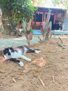 Un gato blanco y negro tendido en el suelo en Chalé do Bosque Ilhabela, en Ilhabela
