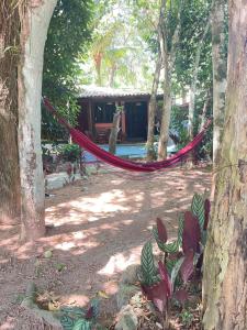 una hamaca en un bosque con una casa en el fondo en Chalé do Bosque Ilhabela, en Ilhabela
