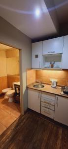 Il comprend une petite cuisine avec un lavabo et des toilettes. dans l'établissement La Casona del Alma, à Buenos Aires