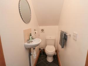 a bathroom with a toilet and a sink and a mirror at Psalm Cottage in Scarborough
