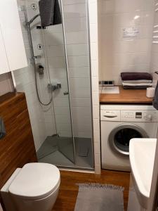Ένα μπάνιο στο Zamkowy Apartament +19 φωτογραφίες