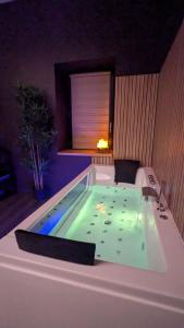 Gambar di galeri bagi Le Cocon - Love & Spa di Cébazat