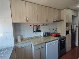 a kitchen with wooden cabinets and a counter top at Garcia hurtado departamento diario in Osorno