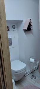 bagno con servizi igienici bianchi in camera di Bikers Paradise Olafsvik a Ólafsvík