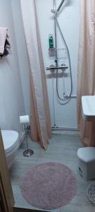 bagno con doccia, servizi igienici e tappeto di Bikers Paradise Olafsvik a Ólafsvík