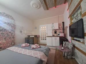 Una cocina o cocineta en Stan na dan S