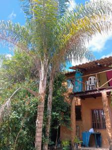 a palm tree in front of a house at Chalé Aconchego in Santo Antônio do Leite