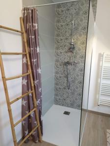a shower with a ladder in a bathroom at 10 min du Circuit 24h du MANS - Grandes chambres très confortables dans maison récente et jardin ! in Fillé