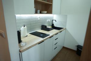 A kitchen or kitchenette at Apartman Borovi 15 Divčibare