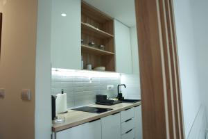 A kitchen or kitchenette at Apartman Borovi 15 Divčibare