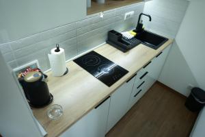 A kitchen or kitchenette at Apartman Borovi 15 Divčibare