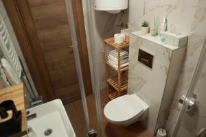 A bathroom at Apartman Borovi 15 Divčibare