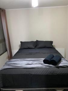 Φωτογραφία από το άλμπουμ του Departamento Santiago στο Σαντιάγο