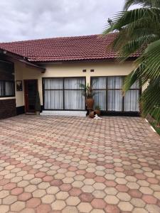 Gallery image ng The Java Tree Suite sa Lusaka