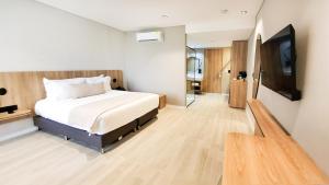 Botanico Hotel y Spa的电视和/或娱乐中心