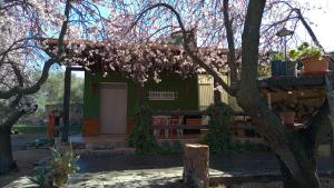a green house with a tree in front of it at La Traviesa in Soneja