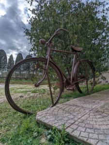 Jízda na kole v ubytování Agriturismo Boschetto nebo okolí