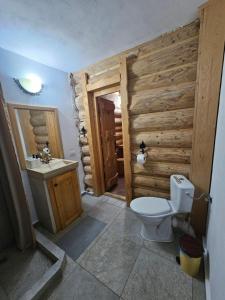 a bathroom with a toilet and a sink at Cabana Daria Arieseni in Arieşeni