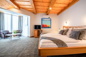 A television and/or entertainment centre at Boutique Hotel Vila Lieska
