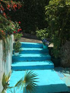 A garden outside Hotel Cap Sud Caraibes