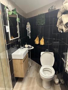 a black tiled bathroom with a toilet and a sink at Apartment Zumbul in Zrenjanin +28 photos