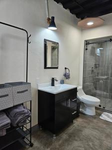 a bathroom with a sink and a shower and a toilet at Relaxed and private in Jiquilpan de Juárez