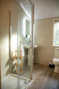 a bathroom with a shower and a sink and a toilet at Y Caban in Cemaes Bay +16 photos