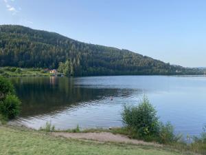 ジェラールメにあるAppt 50m2, 4 personnes, ménage, draps et serviettes inclusの水泳の方と一緒に湖