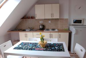Kuchyňa alebo kuchynka v ubytovaní Apartments Odměny U Třeboně + 2 fotografie