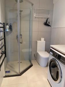 奥克兰Guest Suite in Half Moon Bay的配有洗衣机和卫生间的浴室